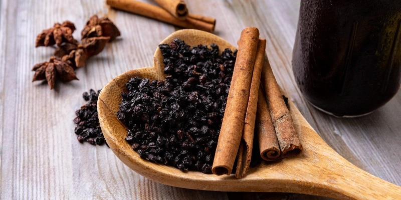 dried elderberries in a spoon