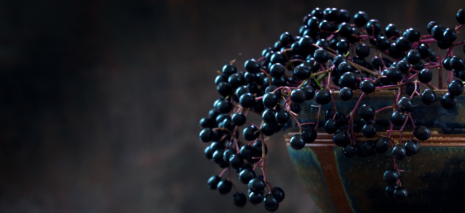elderberry in a bowl