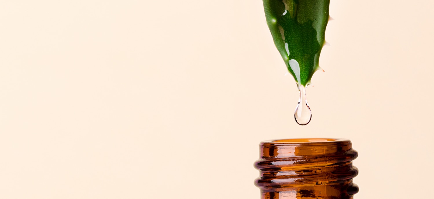 8 Beneficial Extracts You Should Know - Healthy Perspectives