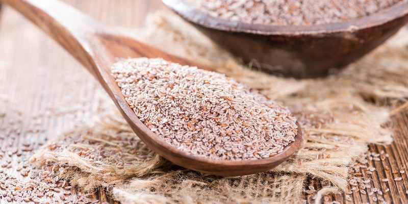 Puritan's Pride psyllium husk seed powder