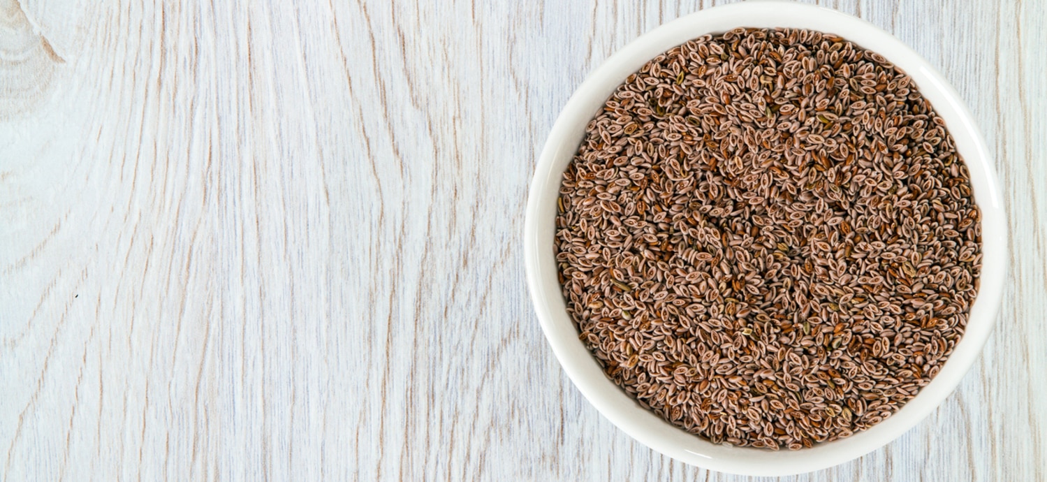 Psyllium husk seeds in a bowl