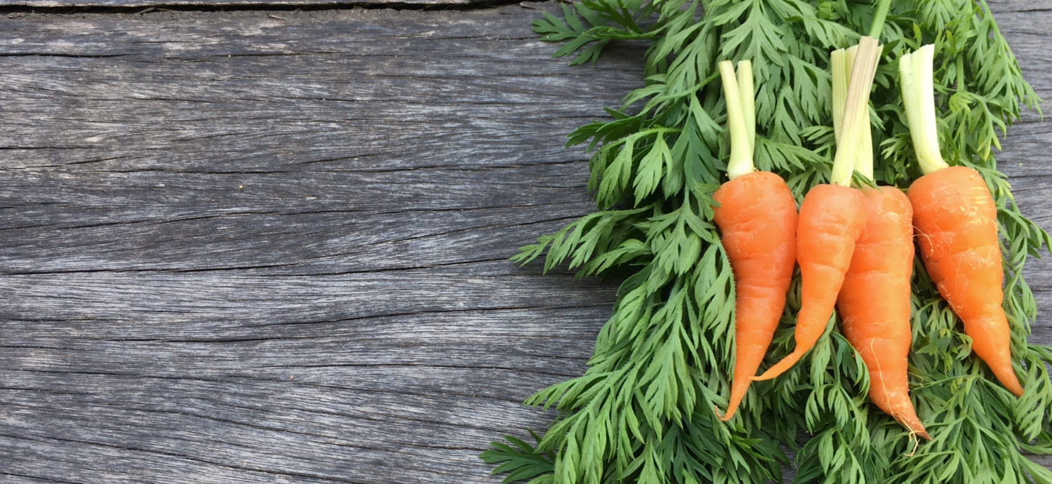 Carrots on a flat surface vitamin a