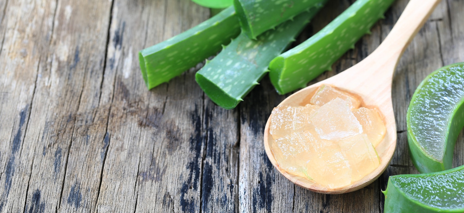 Aloe vera on a wooden table