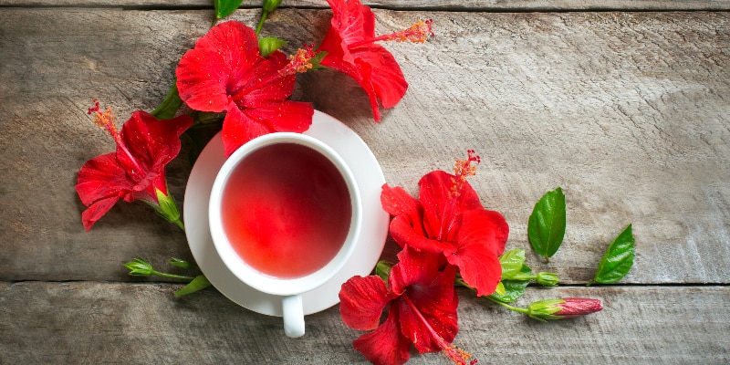 hibiscus tea in a cup surrounded by hibiscus flowers