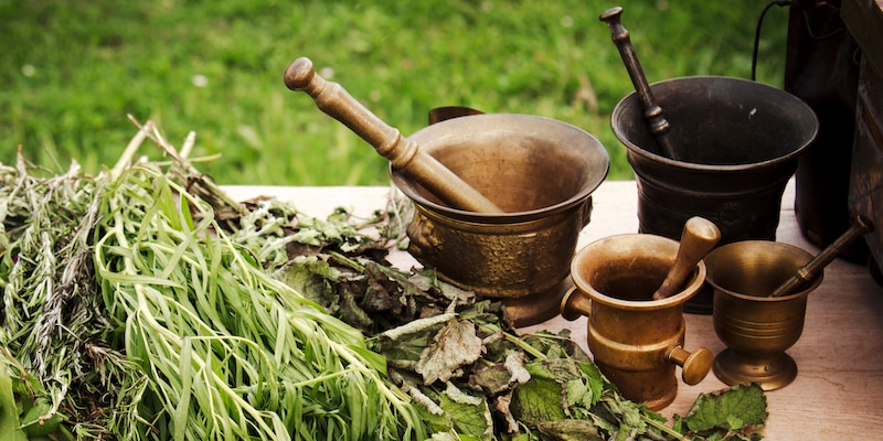 beneficial extracts plants