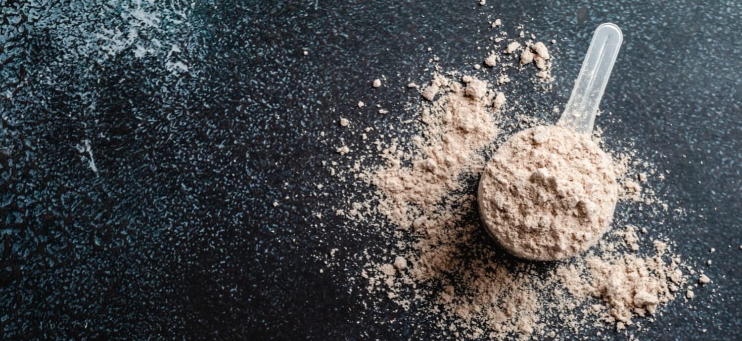 Protein powder in scoop