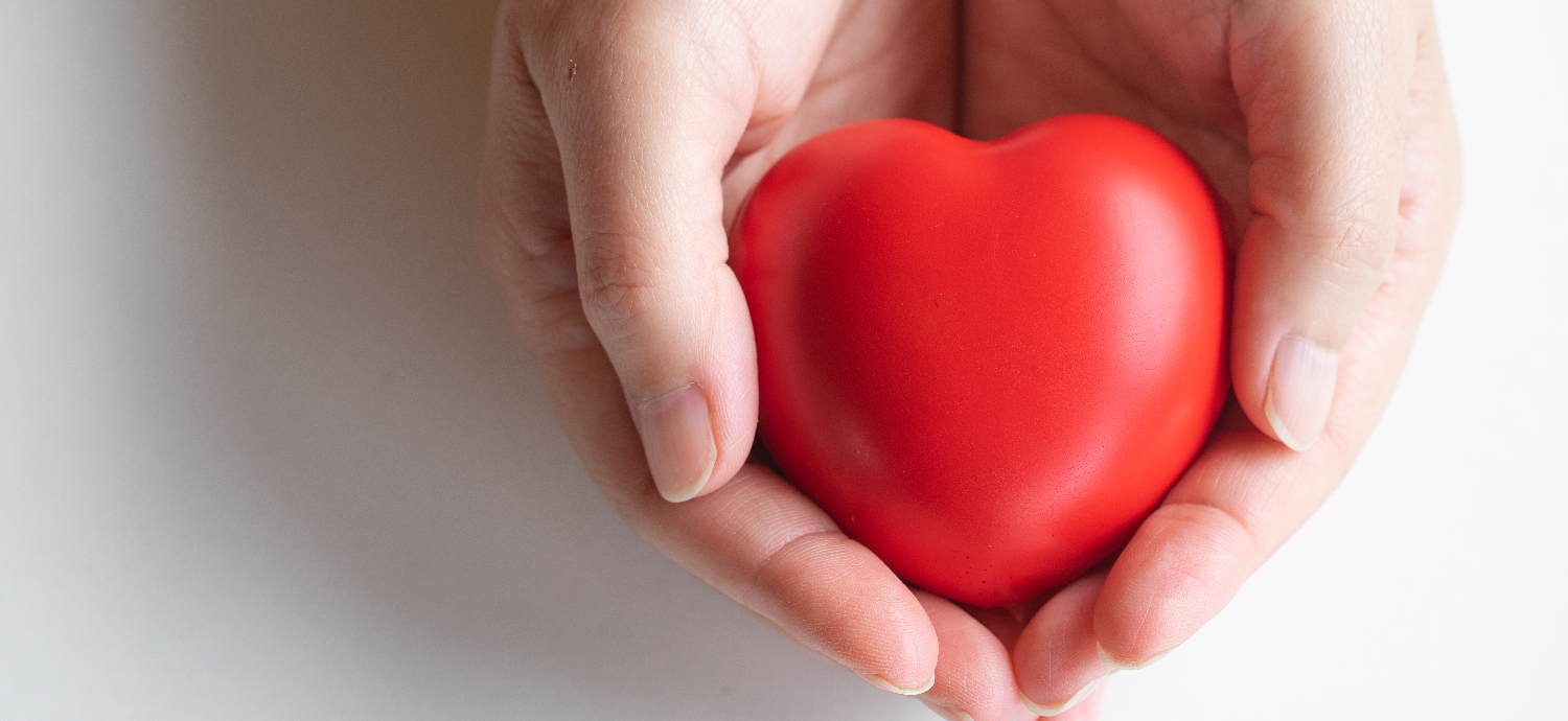 hands holding heart for cholesterol support